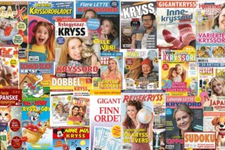 Spørreundersøkelse